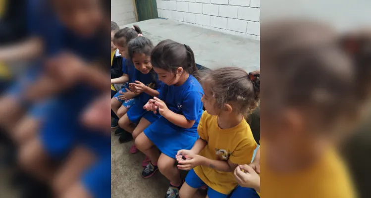 Com um passeio pela área da escola, as crianças realizaram a coleta de folhas e flores