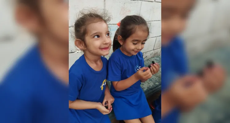 Com um passeio pela área da escola, as crianças realizaram a coleta de folhas e flores