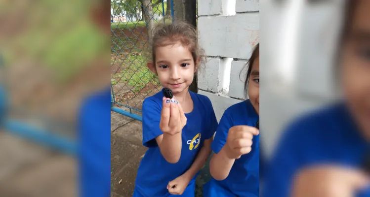 Com um passeio pela área da escola, as crianças realizaram a coleta de folhas e flores