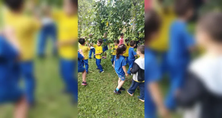 Com um passeio pela área da escola, as crianças realizaram a coleta de folhas e flores