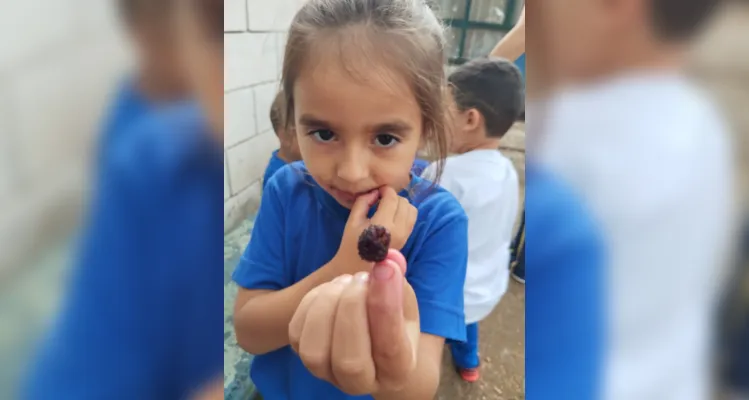 Com um passeio pela área da escola, as crianças realizaram a coleta de folhas e flores