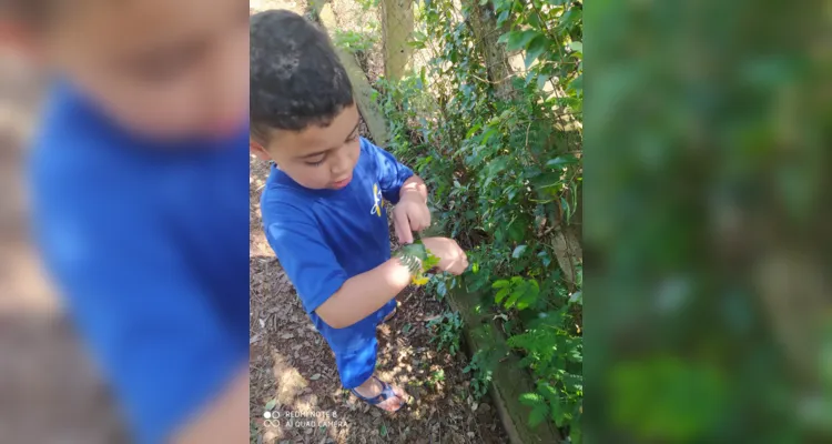 Com um passeio pela área da escola, as crianças realizaram a coleta de folhas e flores