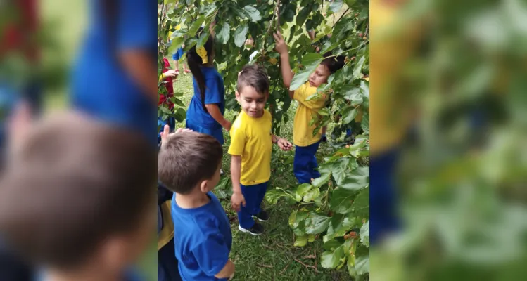 Com um passeio pela área da escola, as crianças realizaram a coleta de folhas e flores