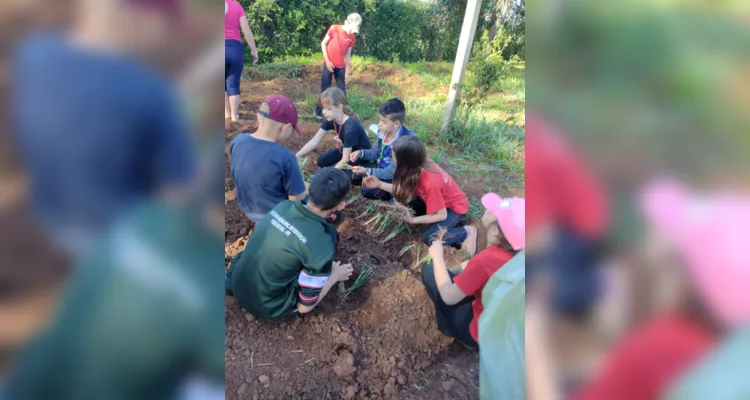 Trabalho uniu estudantes, funcionários e educadores em prol da escola