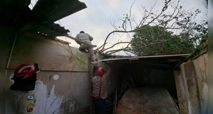  Equipes do Corpo de Bombeiros foram acionados até o local para efetuar a remoção