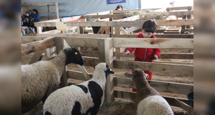 A expectativa da organização é reunir milhares de pessoas nos quatro dias em que a exposição vai acontecer