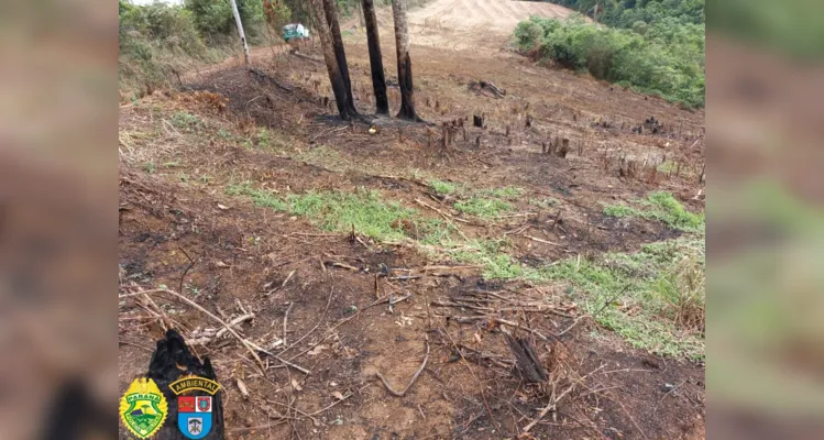 Policiais flagram os danos em áreas nesta terça-feira (17)