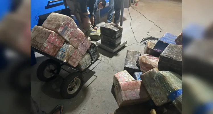 Droga estava escondida em sacas de trigo