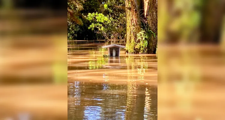 Água subiu e alagou completamente três casas - duas ficaram parcialmente alagadas