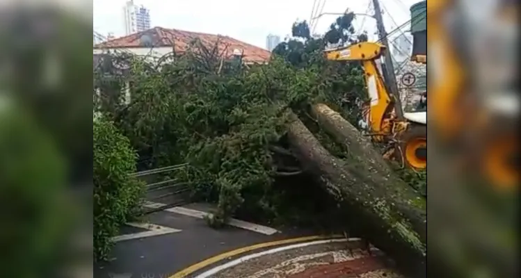 Trabalhos acontecem, entre outros locais, na Praça Duque de Caxias, nesta manhã