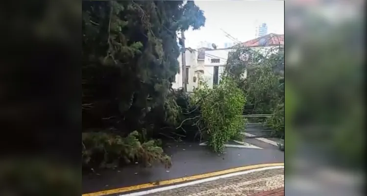 Trabalhos acontecem, entre outros locais, na Praça Duque de Caxias, nesta manhã