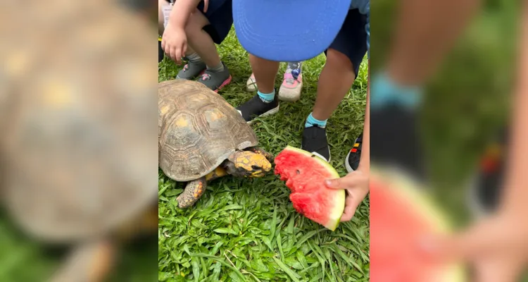 O 'Mascotes da Alegria', compartilha conhecimentos sobre à dignidade animal 