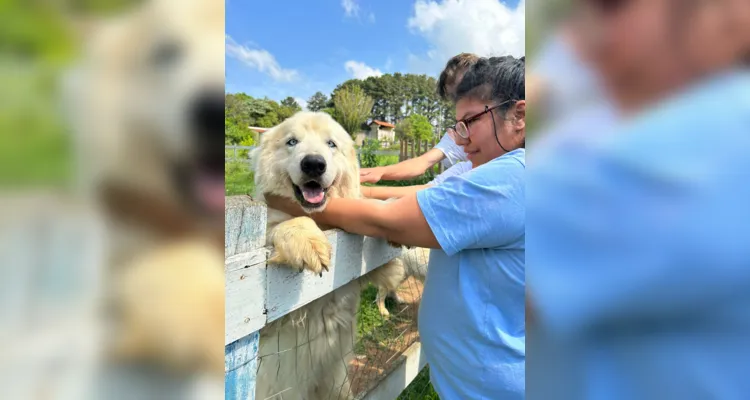 O 'Mascotes da Alegria', compartilha conhecimentos sobre à dignidade animal 