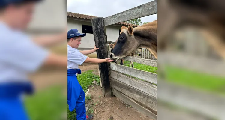 O 'Mascotes da Alegria', compartilha conhecimentos sobre à dignidade animal 