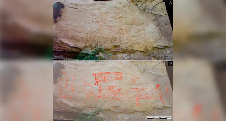 Os estudos realizados pelos pesquisadores do projeto PGRupestre mostraram que os tipos de figuras mais representadas são as incompletas ou manchas 