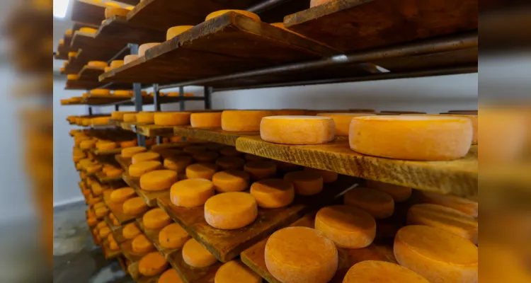 Witmarsum, Indicação Geografica dos queijos.