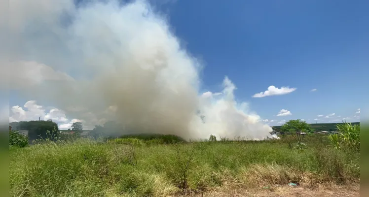 Número de incêndios ambientais em PG preocupa bombeiros