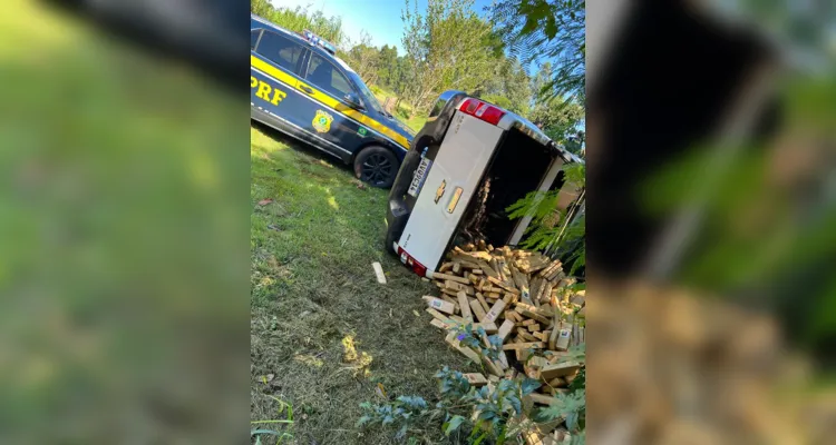 PRF apreende 195 toneladas de drogas e bate recorde no Paraná