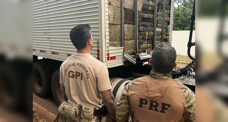 PRF apreende 195 toneladas de drogas e bate recorde no Paraná