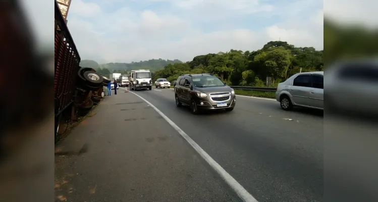 Caminhão transporta bovinos, tomba e interdita BR-277