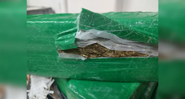 PRF apreende Peugeot com 250 kg de maconha na BR-376 em PG