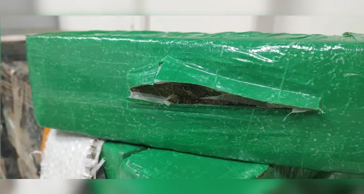 PRF apreende Peugeot com 250 kg de maconha na BR-376 em PG