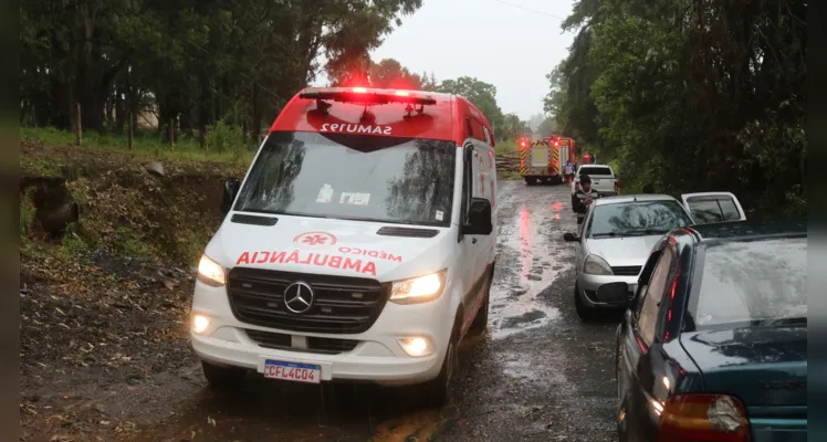 Árvore cai e mata homem em Ponta Grossa 