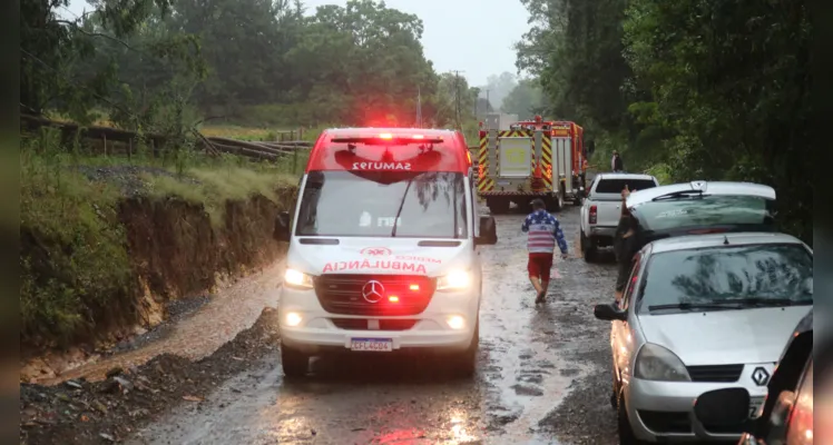 Árvore cai e mata homem em Ponta Grossa 