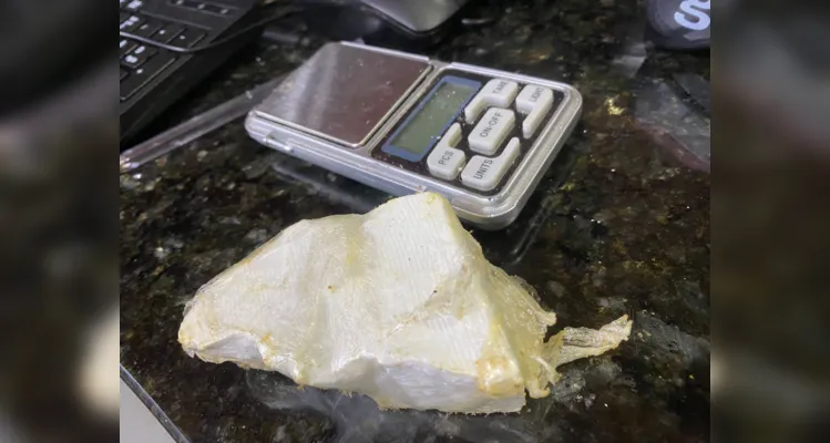 Confira imagens das drogas apreendidas até o momento
