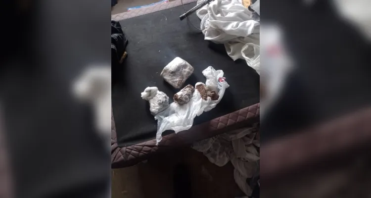 Confira imagens das drogas apreendidas até o momento