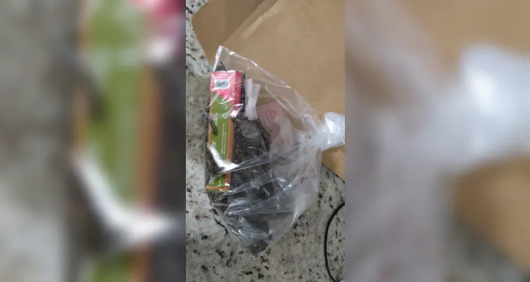 Confira imagens das drogas apreendidas até o momento