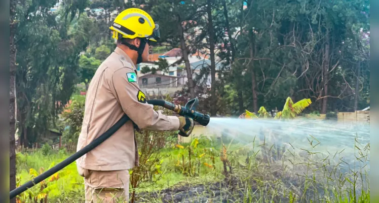 Número de incêndios ambientais em PG preocupa bombeiros