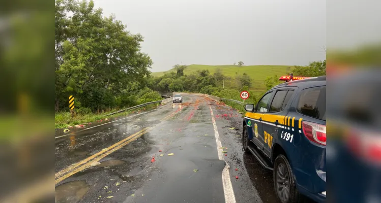 Veículo colidiu com um objeto fixo e em seguida tombou à margem da via.