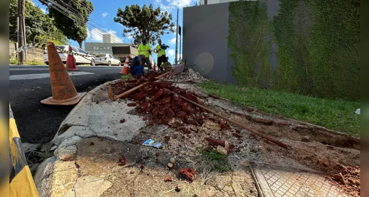 Prefeitura inicia instalação de semáforo na 'Visconde de Mauá'