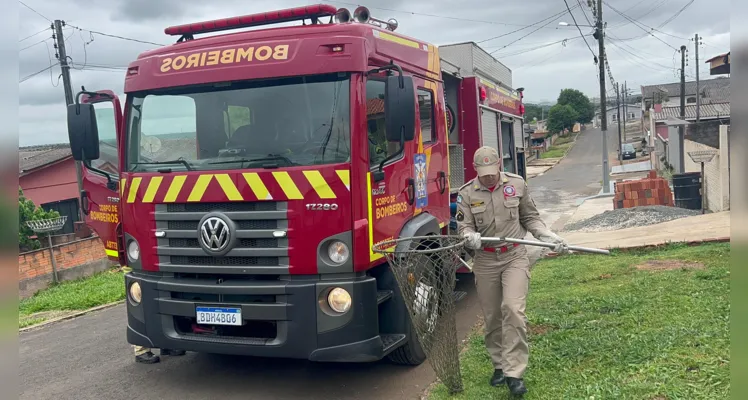 A ocorrência aconteceu por volta das 11h desta quinta, no Jardim Santa Bárbara