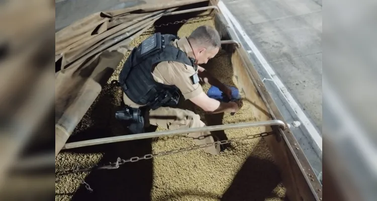 Prejuízo estimado pela Polícia ao tráfico chega a casa dos R$ 6 mi