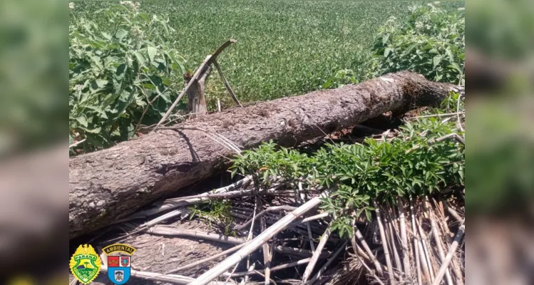 O responsável não possuía autorização ambiental, foi autuado no valor de R$ 196 mil e responderá criminalmente pelos danos.        