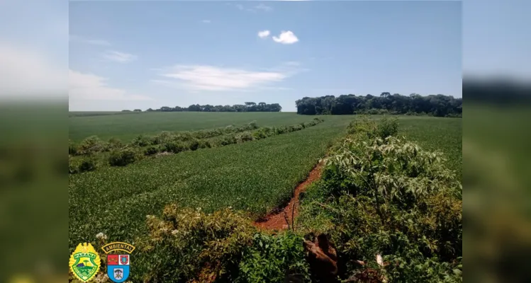 O responsável não possuía autorização ambiental, foi autuado no valor de R$ 196 mil e responderá criminalmente pelos danos.        