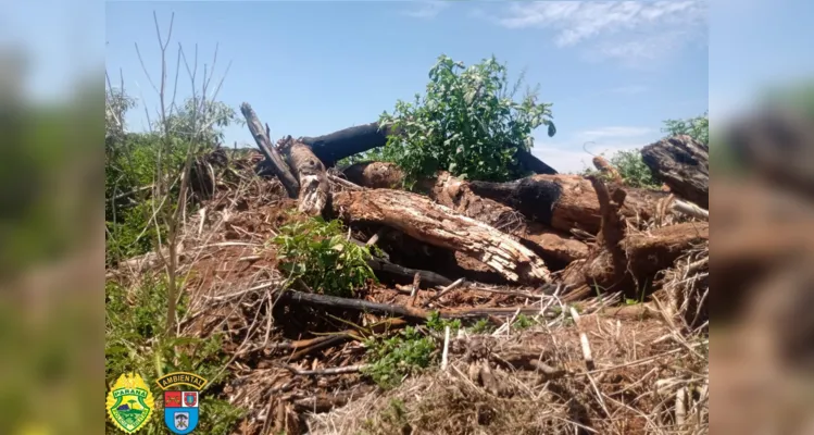 O responsável não possuía autorização ambiental, foi autuado no valor de R$ 196 mil e responderá criminalmente pelos danos.        