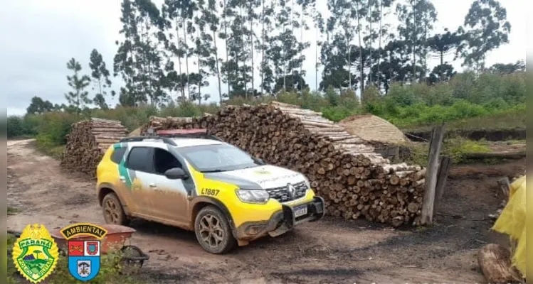 Homens são multados por produzirem carvão sem autorização no PR