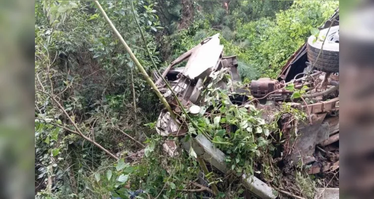 Mata fechada dificulta o acesso ao local da queda do caminhão