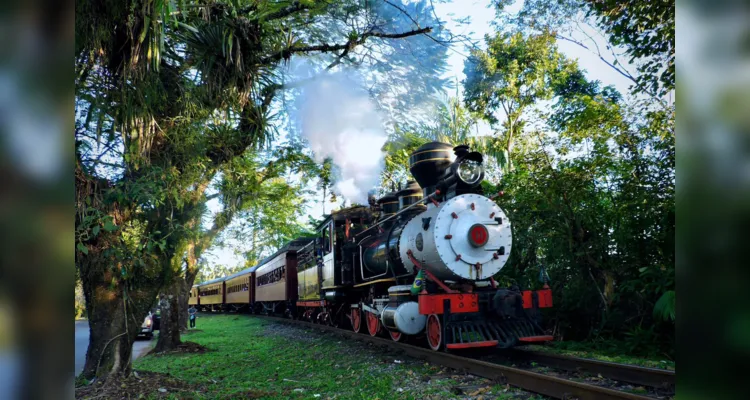 Passeios de trem com vistas para a Mata Atlântica remontam a história do Estado - Trem Caiçara -Morretes-Antonina