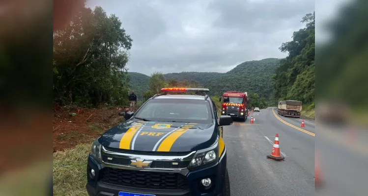 Mata fechada dificulta o acesso ao local da queda do caminhão