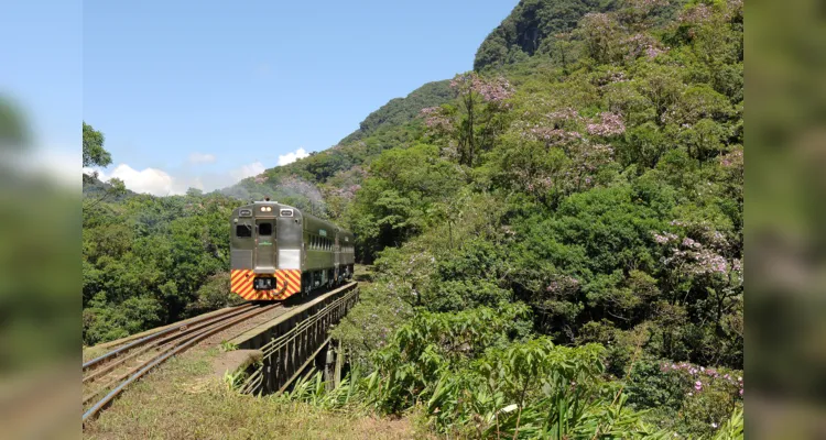 Curitiba-Morretes (através da Serra Verde Express)