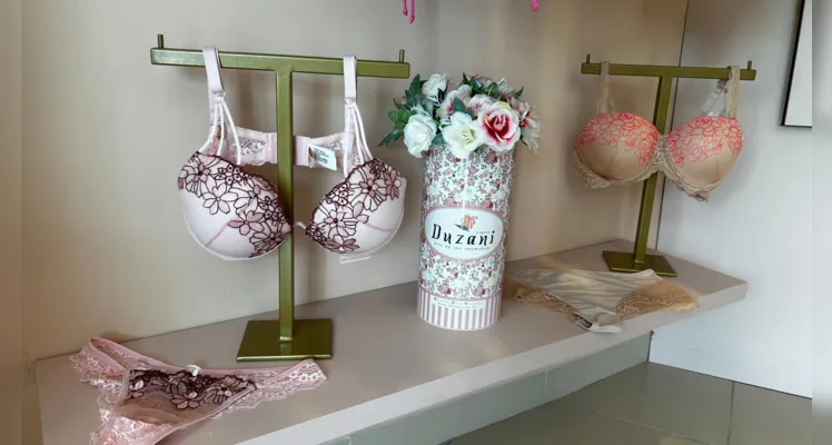 A Duzani Lingerie, uma das mais importantes franquias de moda íntima, está à procura de mulheres que queiram ser consultoras de venda em Ponta Grossa e região