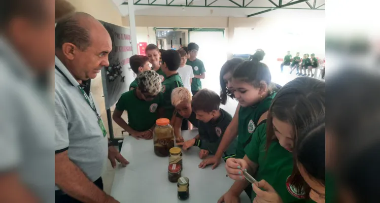 Conceitos concretos aplicados durante evento contra o mosquito contribuíram de forma efetiva no ensino.