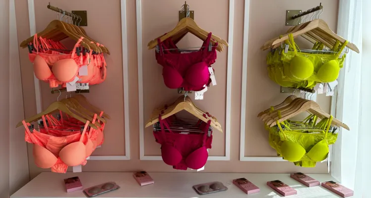 A Duzani Lingerie, uma das mais importantes franquias de moda íntima, está à procura de mulheres que queiram ser consultoras de venda em Ponta Grossa e região