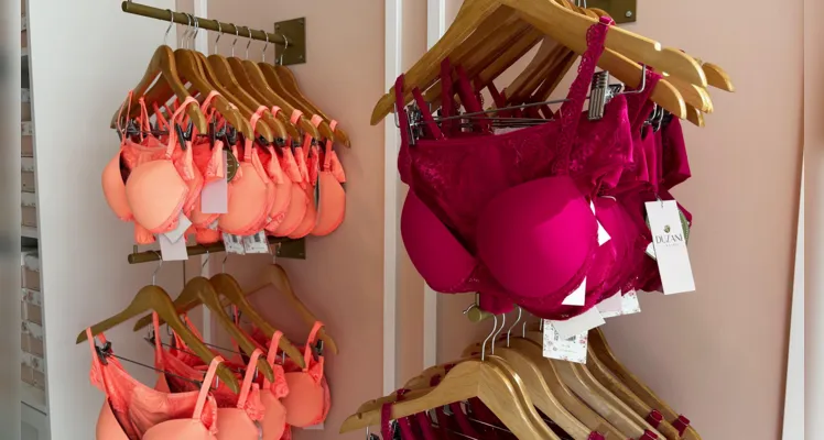 A Duzani Lingerie, uma das mais importantes franquias de moda íntima, está à procura de mulheres que queiram ser consultoras de venda em Ponta Grossa e região