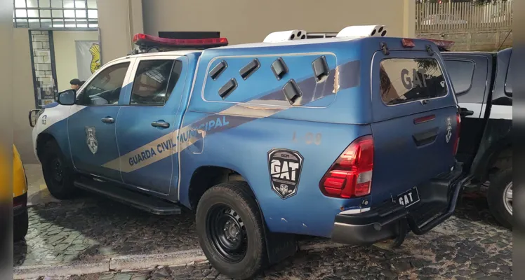 'Equipe GAT', da Guarda Civil Municipal, foi acionada para a ocorrência.