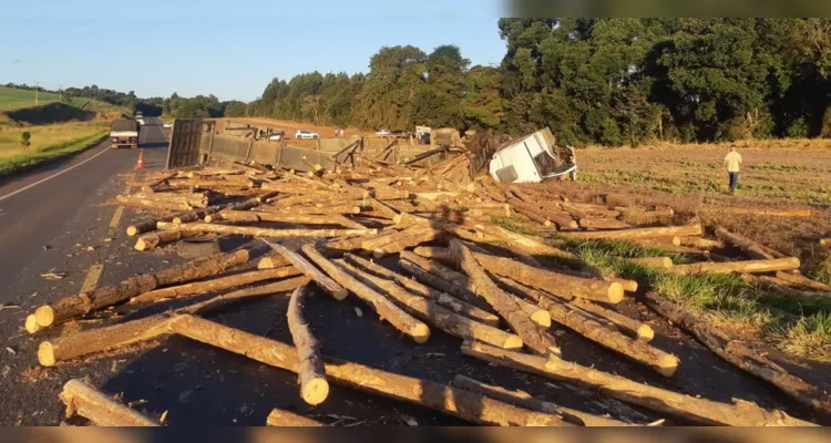 Carga de toras de espalhou pela pista após o acidente de trânsito.